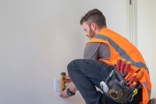 Best Electric Panel Repair  in Luray, VA